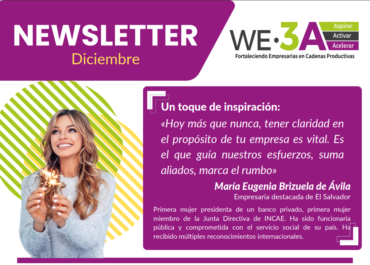 WE3A Newsletter Diciembre 2023